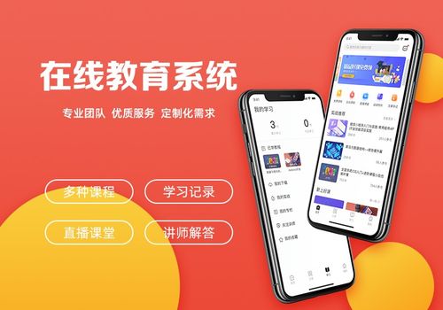 教育軟件開發方式選擇與銷售策略指南